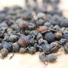 Black pepper(Piper mullesua Buch.-Ham. ex D.)